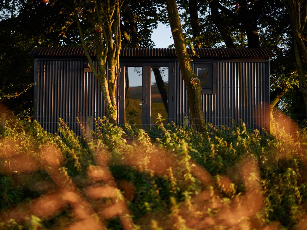 Shepards Hut through the plants