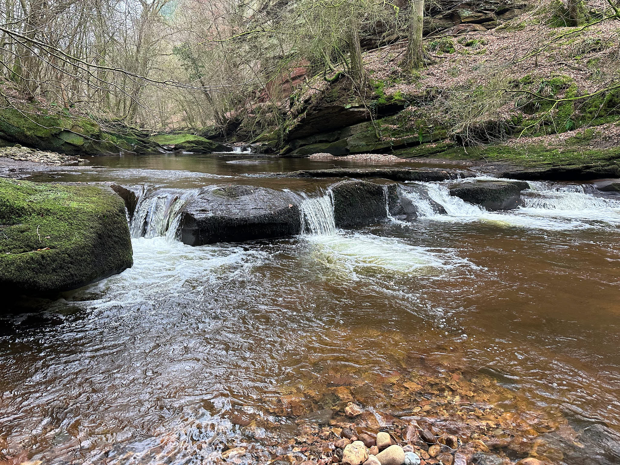 wild swimming in northumberland