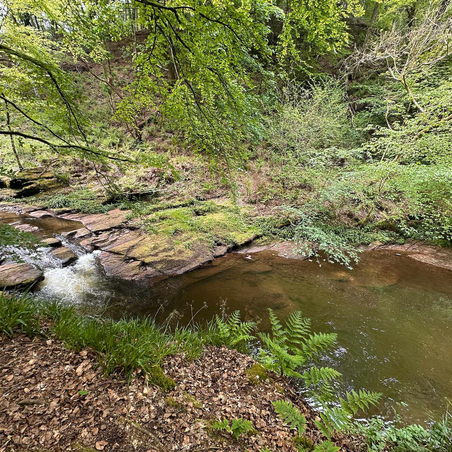 wild swimming in northumberland