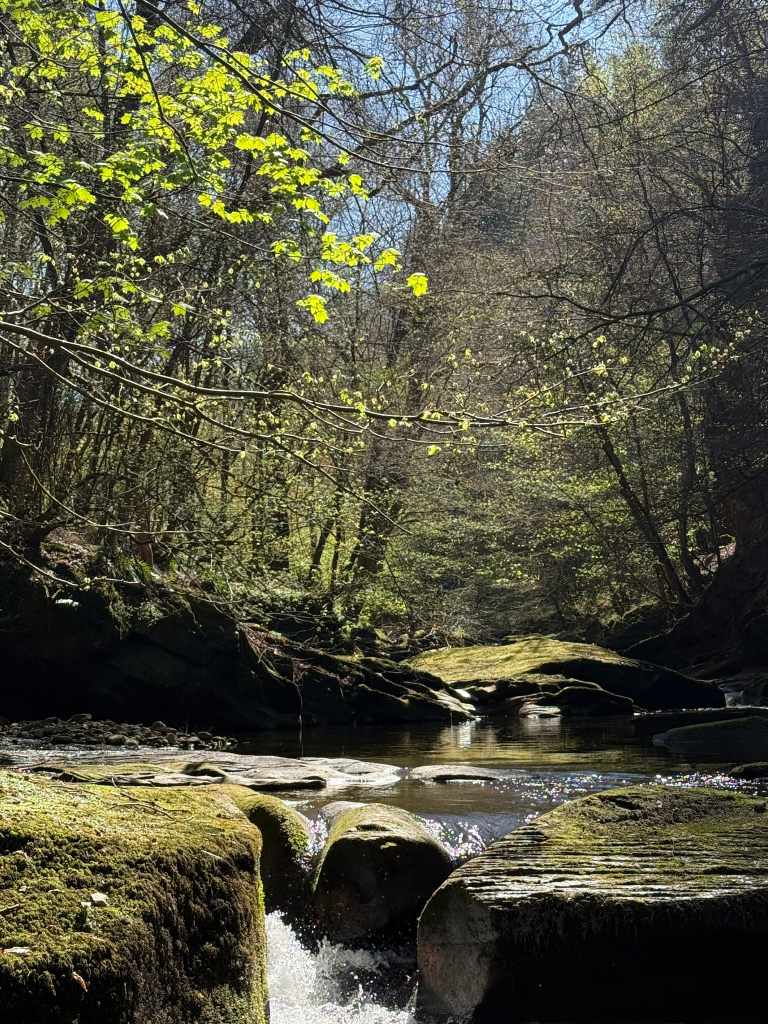 wild swimming in northumberland