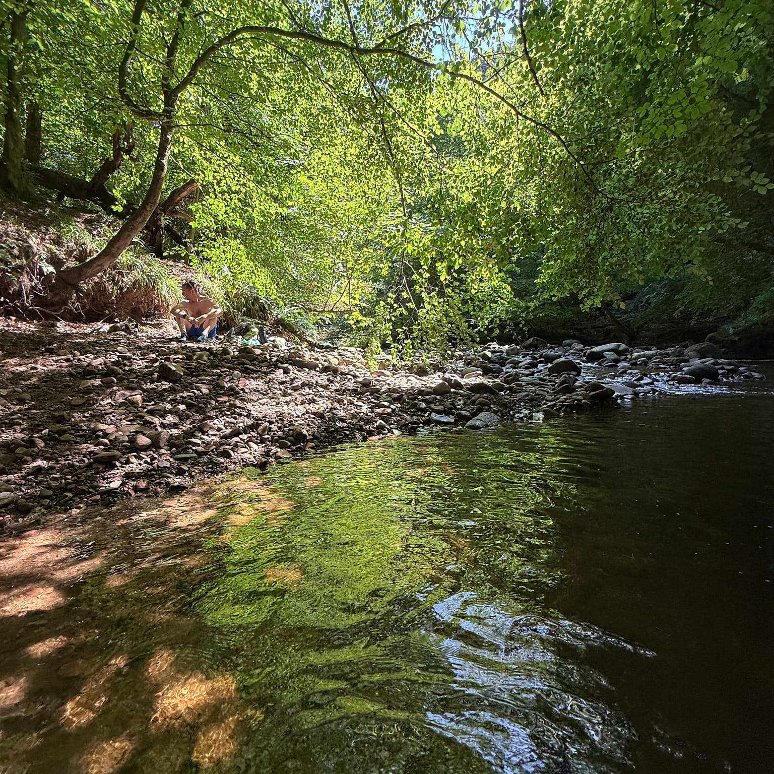 wild swimming in northumberland