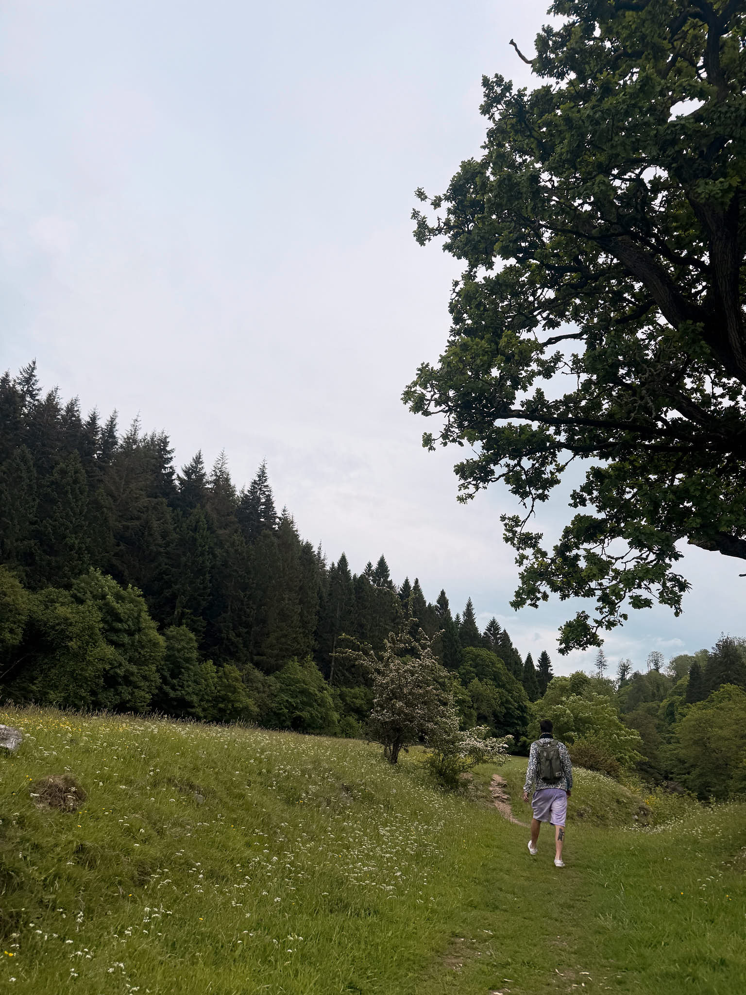 wild swimming in northumberland
