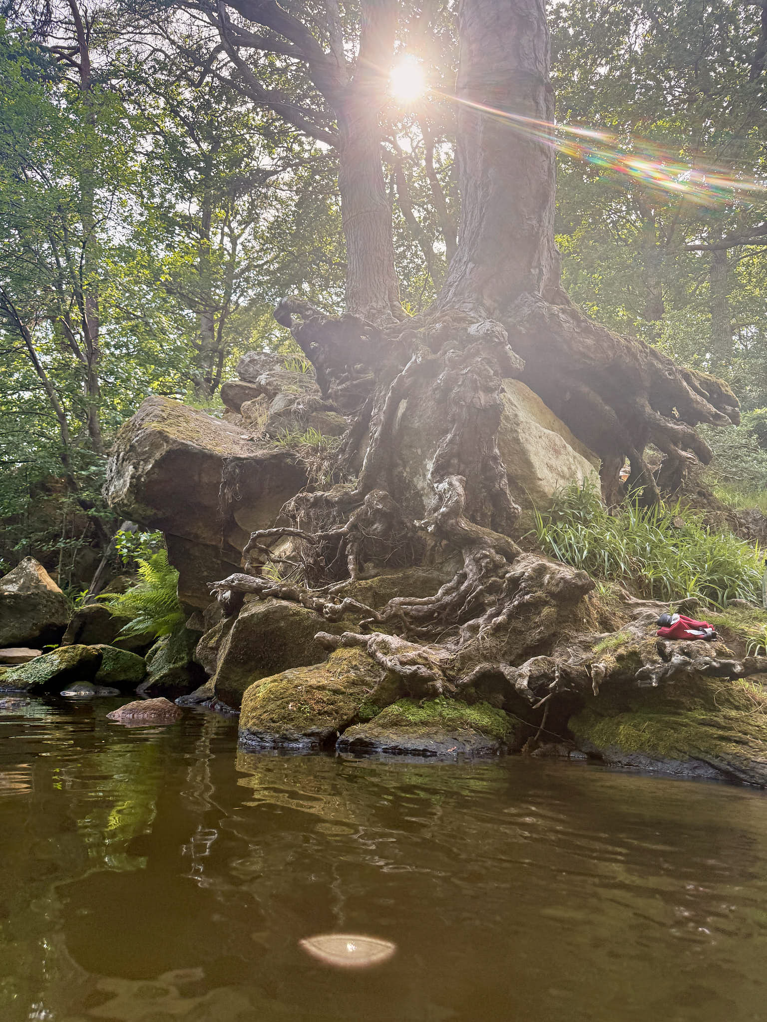 wild swimming in northumberland