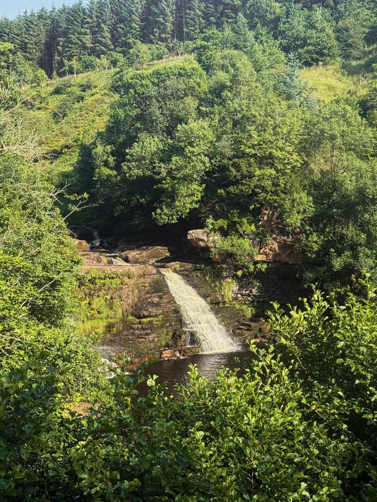wild swimming in northumberland